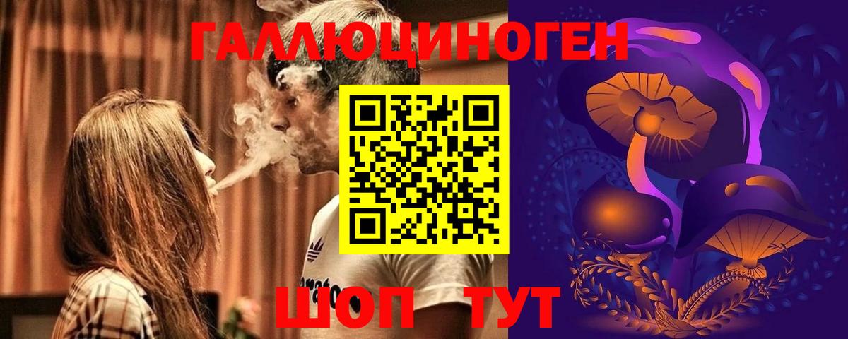 Галлюциногенные грибы Psilocybine cubensis  купить   Карабулак  Вход с VPN  Галлюциногенные грибы прущие грибы 